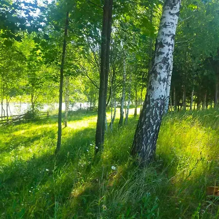 гражда лофт для двох в карпатах * Krivorovnya