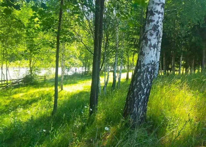 гражда лофт для двох в карпатах * Krivorovnya