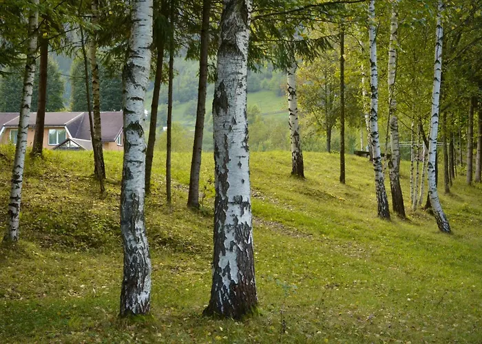гражда лофт для двох в карпатах بيت للعطل *