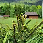 гражда лофт для двох в карпатах Krivorovnya
