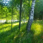 гражда лофт для двох в карпатах * Krivorovnya