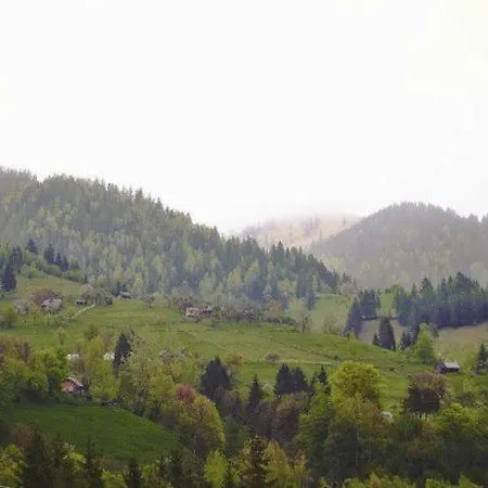 гражда лофт для двох в карпатах بيت للعطل *