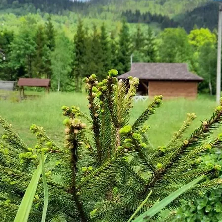 гражда лофт для двох в карпатах Krivorovnya