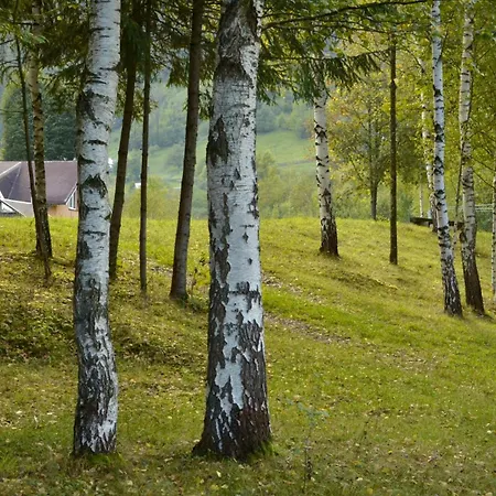 гражда лофт для двох в карпатах Tatil Evi *